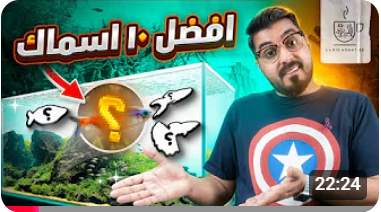 أفضل عشرة أسماك للمبتدئين