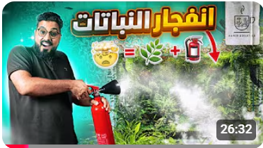 سر نجاح الأحواض المزروعة 