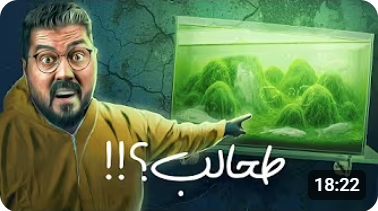 طحالب والا بكتيريا ؟ 🤷‍♂️