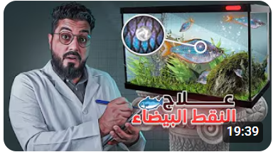 مرض النقاط البيضاء 