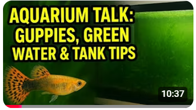 تفاصيل مهمة لكل مربي 