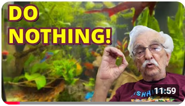 لا تفعل شيئاً  !!