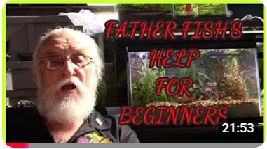 نصائح مهمة للمبتدئين 