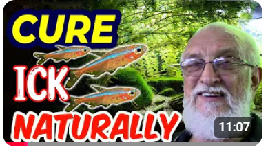 العلاج الطبيعي للنقاط البيضاء 