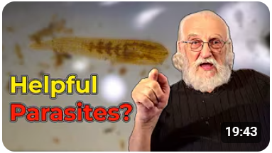بعض الطفيليات ليست ضارة !! 