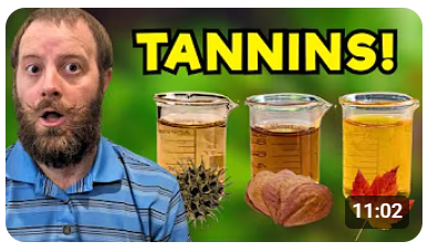 لماذا نستخدم أوراق الشجر الجافة ؟ 