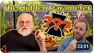 امنح بعض الوقت لحوضك .. ليصلح نفسه 