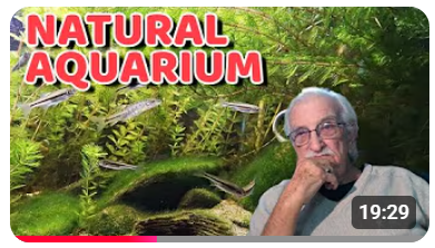 أسرار الحوض الناجح 😊