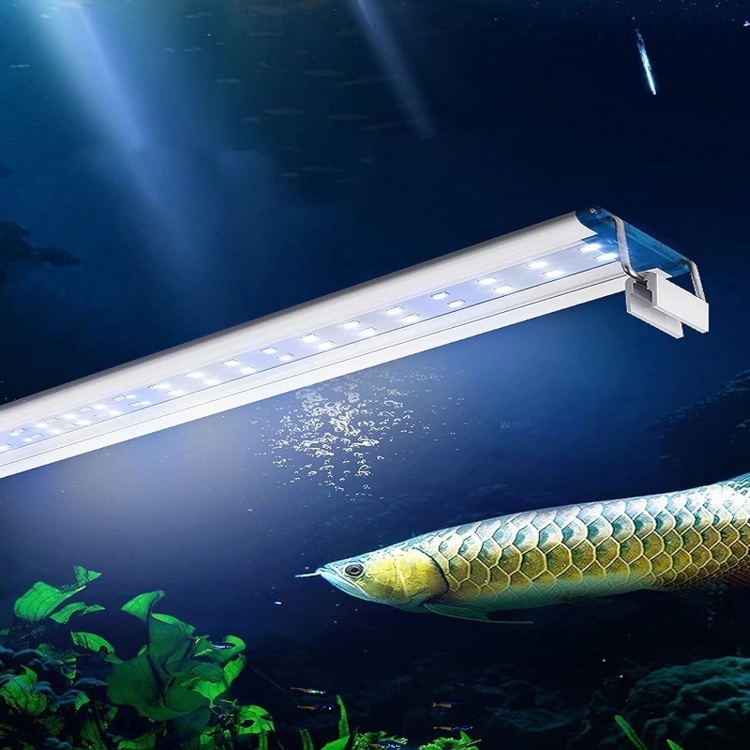 اضاءه LED أنيقة من سفن ستار 