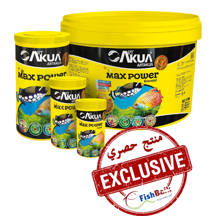 مكس باور