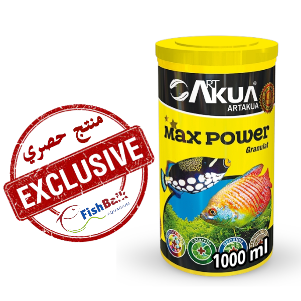 مكس باور