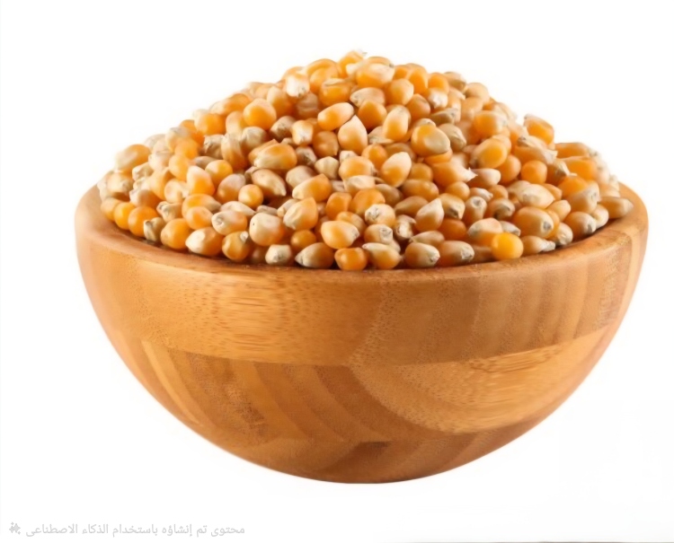 ذرة بوشار سينمائي  حجم جامبو 