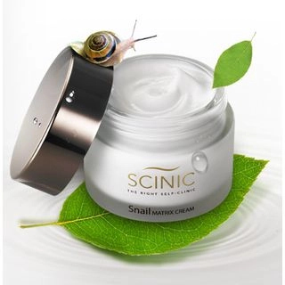 SCINIC - Snail Matrix Cream /50ml