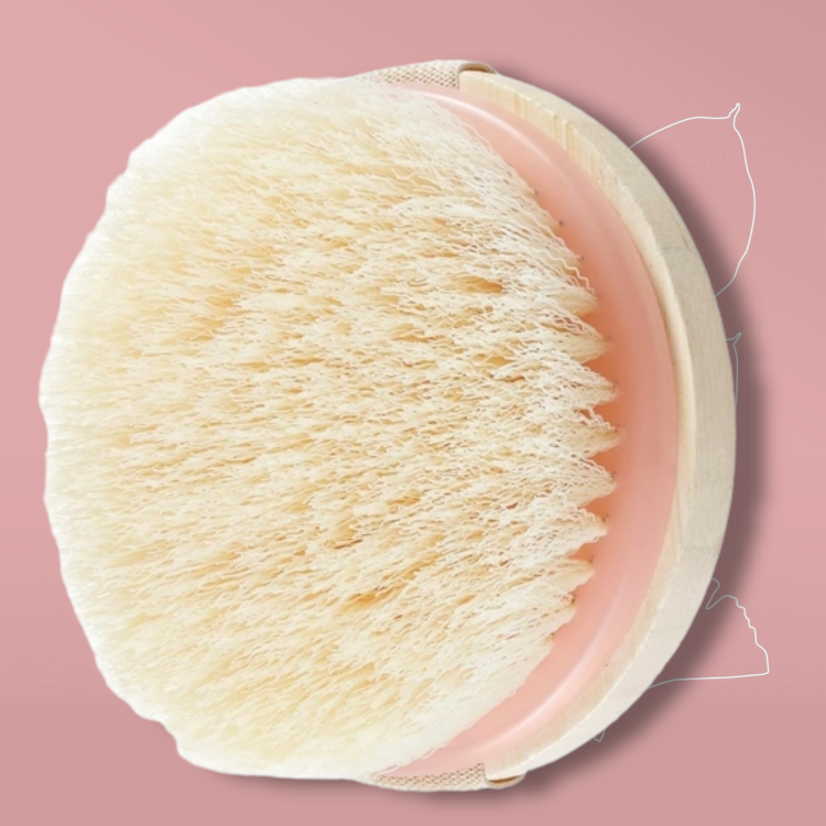 فرشاه التقشير الجاف  ECOTOOLS Dry brush