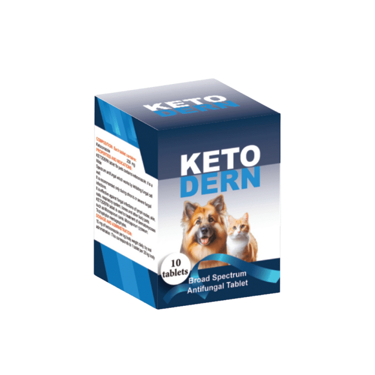 اقراص لعلاج الفطريات keto dern