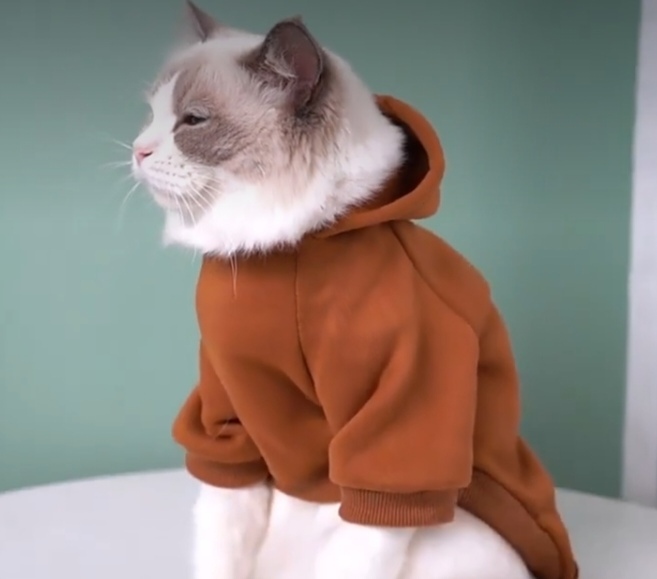 هودي متوسط السماكه للقطط - مقاس L