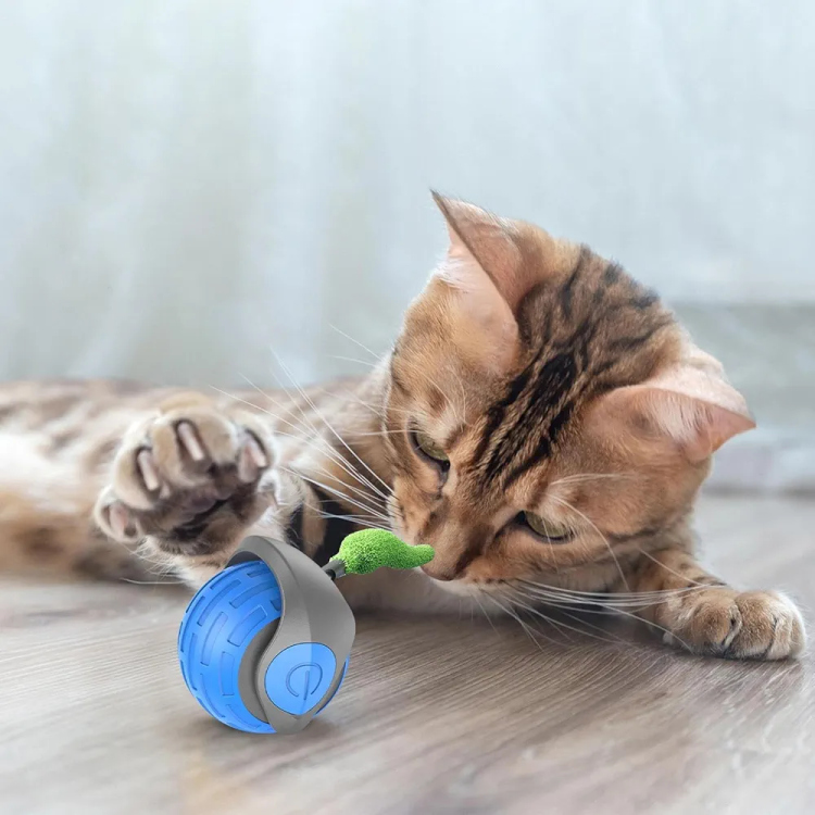 لعبة الكره والريش