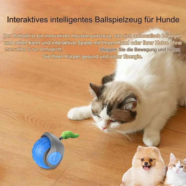 لعبة الكره والريش