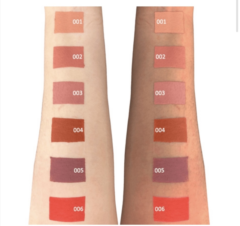 أحمر شفاه مطفي  006 Topface Focus Point 