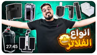 أنواع الفلاتر