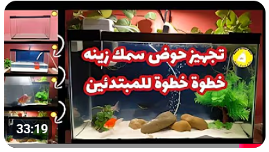 تجهيز الحوض - للمبتدئين