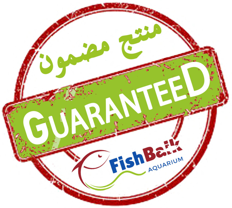 مضخة هواء صامتة