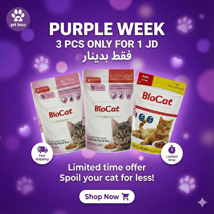 Bio cat wetfood offer (3pc 100gm) only 1 jd