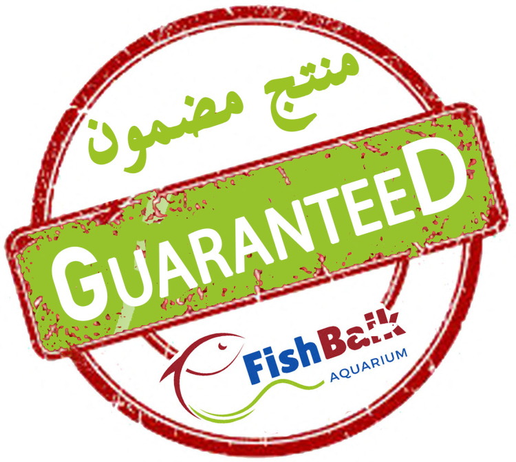 فرشاة التنظيف المغناطيسية 