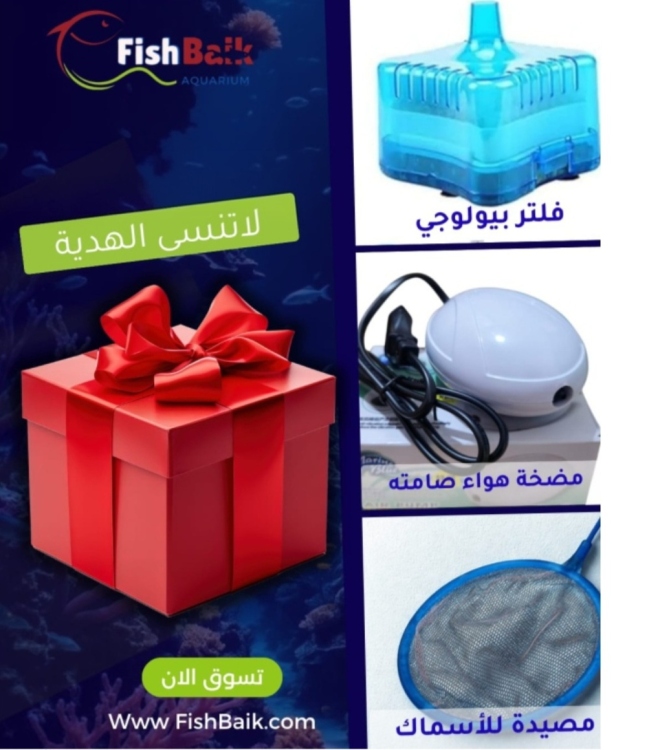 الفلترة الاقتصادية