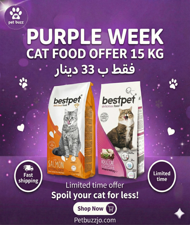Bestpet cat food 15 kg offer