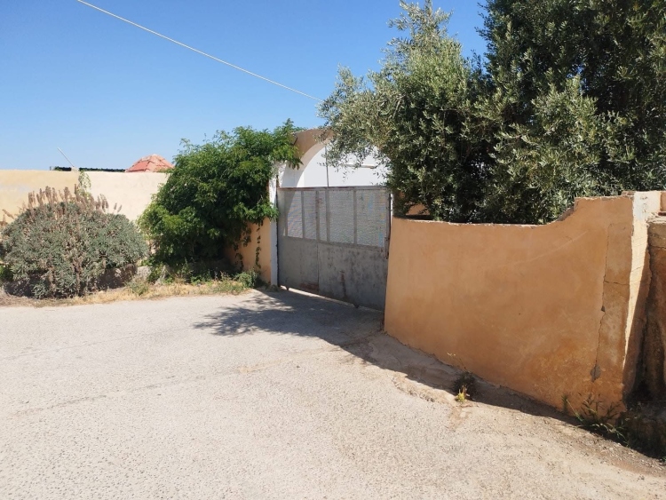 مزرعه مع بركه في الجبيهه قرب شارع الاردن قريه ابو حامد