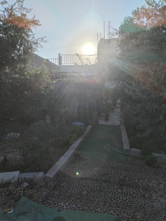 مزرعه مع بركه في الجبيهه قرب شارع الاردن قريه ابو حامد