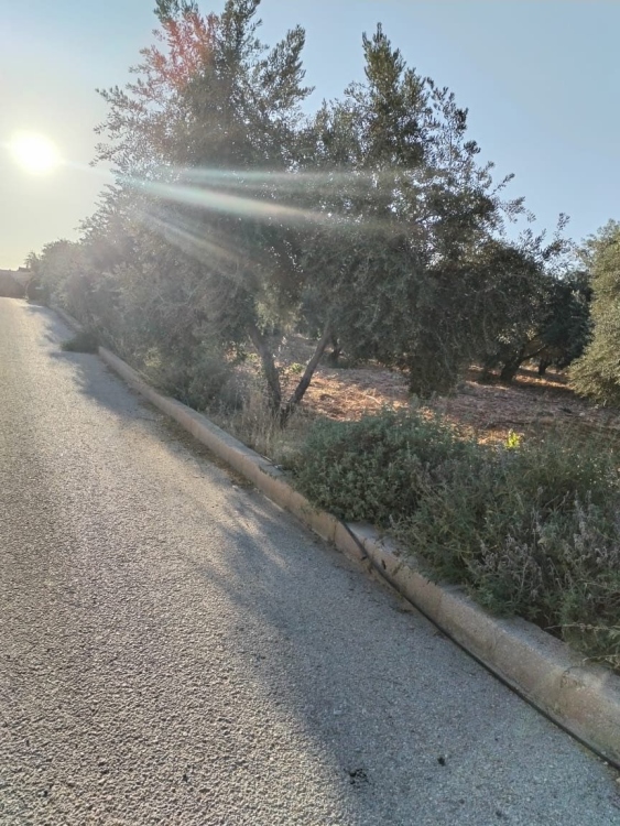 مزرعه مع بركه في الجبيهه قرب شارع الاردن قريه ابو حامد