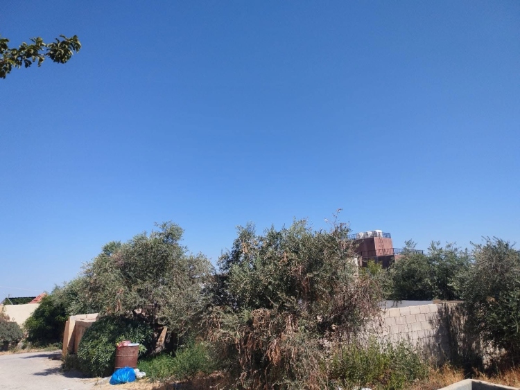 مزرعه مع بركه في الجبيهه قرب شارع الاردن قريه ابو حامد