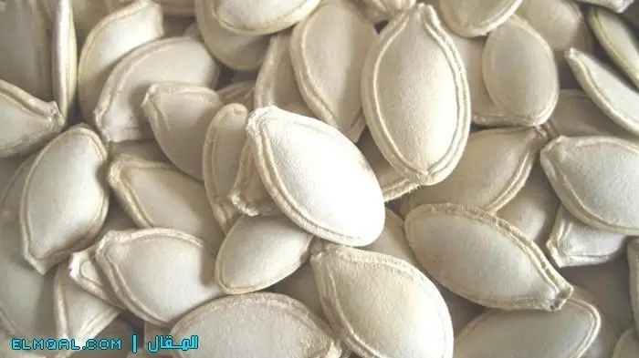 بزر ابيض حبه صغيره