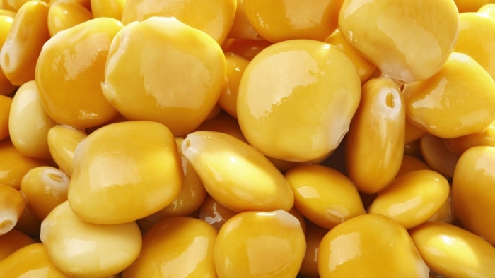 ترمس حلو