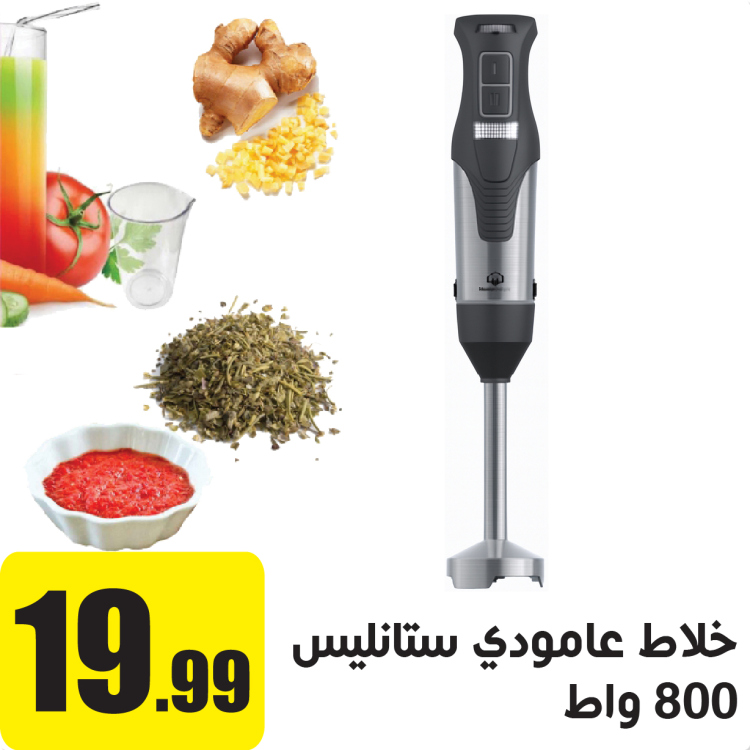 خلاط عامودي ستانليس 800 واط