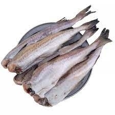 سمك مقطوع راسه