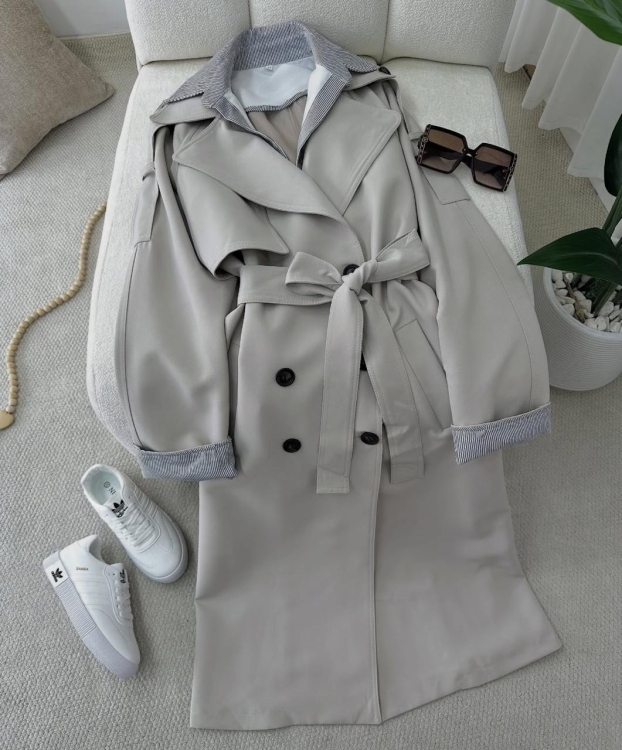 ترانشكوت مخطط