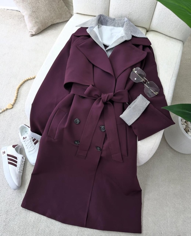 ترانشكوت مخطط