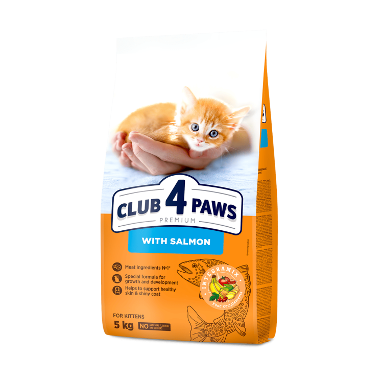 كلب فور باوز كيتن سالمون 