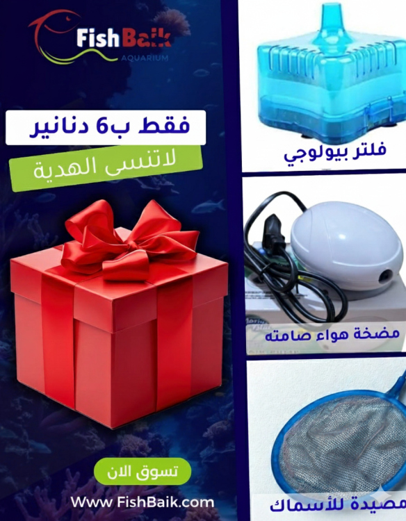بكج الأساسيات لكل حوض سمك