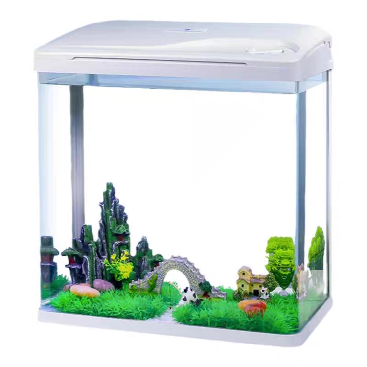 حوض سمك أجنبي مع غطاء 