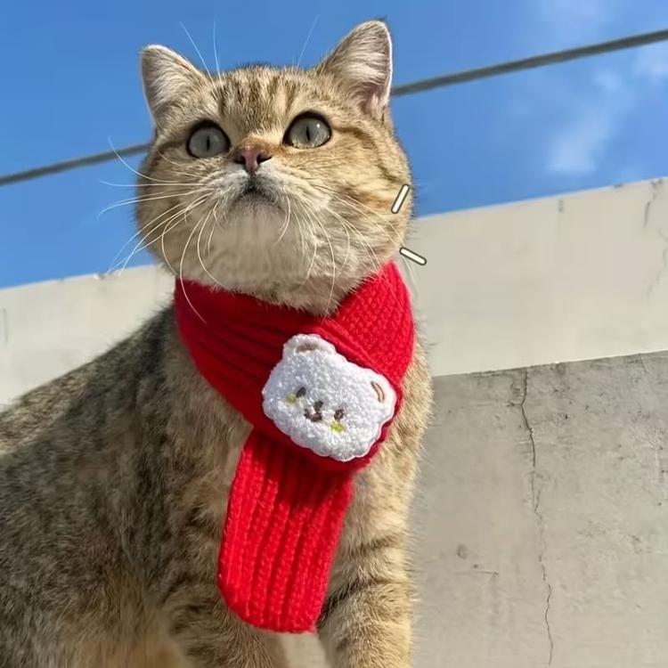 وشاح دافئ من الصوف للقطط باللون الاحمر 