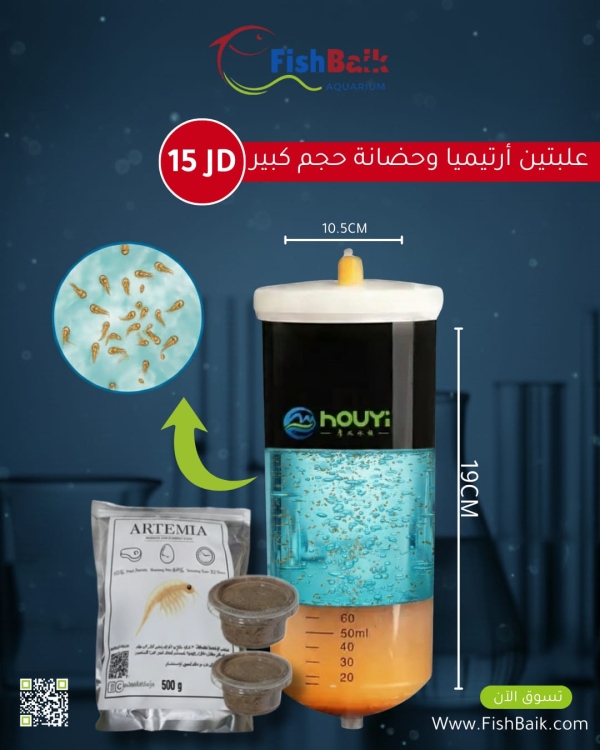 أرتيميا وحاضنة