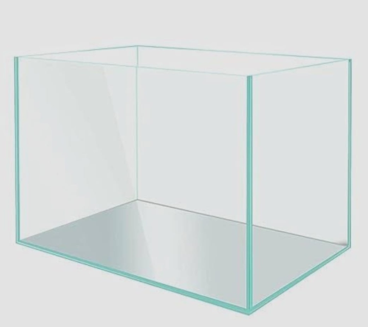 حوض سمك كريستال