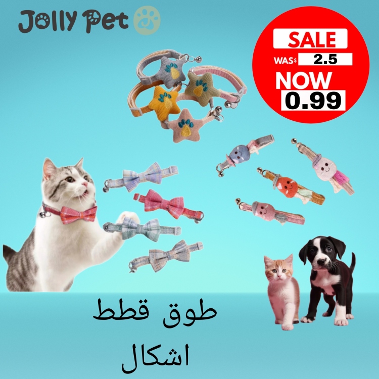 طوق قطط بيضة