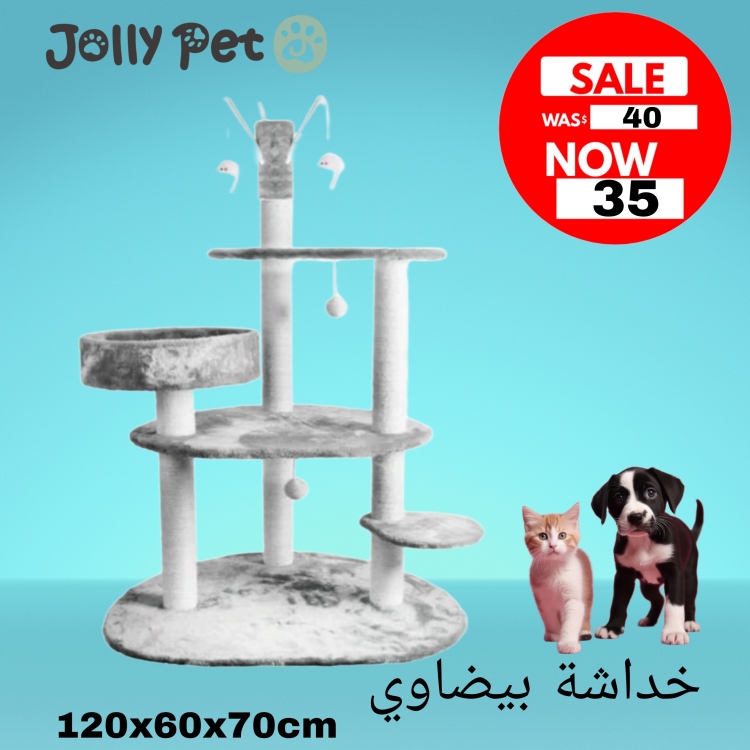 خداشة بيضاوي