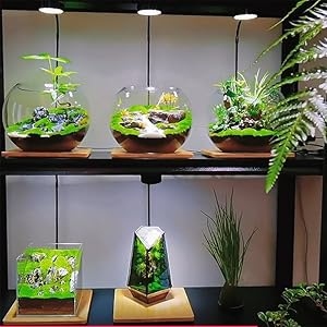 مصباح LED لحوض السمك 