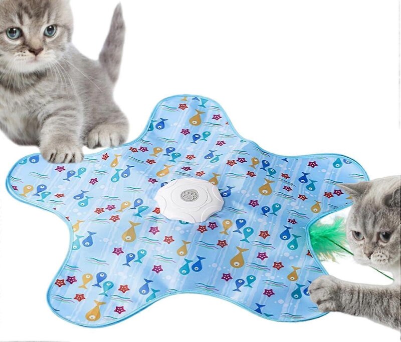 لعب ، ذكاء ومرح بلا حدود 😻